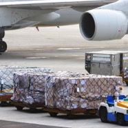 Mask Shipment to Africa for Covid - 19 - 2020